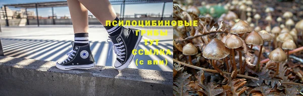 эйфоретик Алексеевка