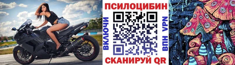 Псилоцибиновые грибы ЛСД  kraken рабочий сайт  Павлово 