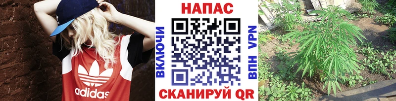 это формула  Павлово  Марихуана сатива  где найти наркотики 